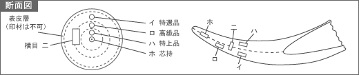 断面図